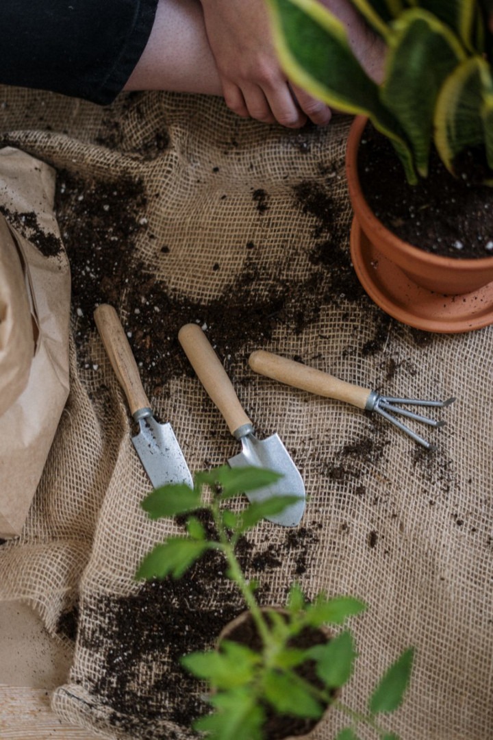 atelier-jardin-partagé